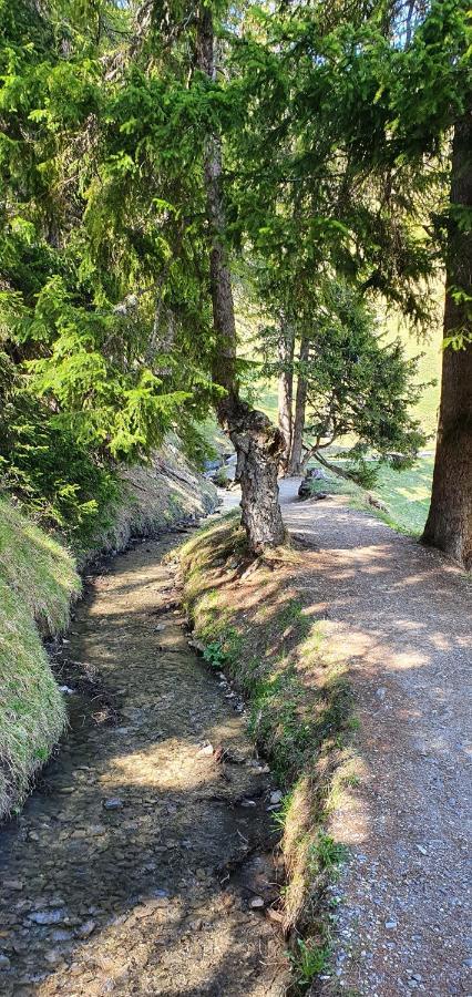 Un Moment De Detente Inoubliable Saillon-Les-Bain ภายนอก รูปภาพ