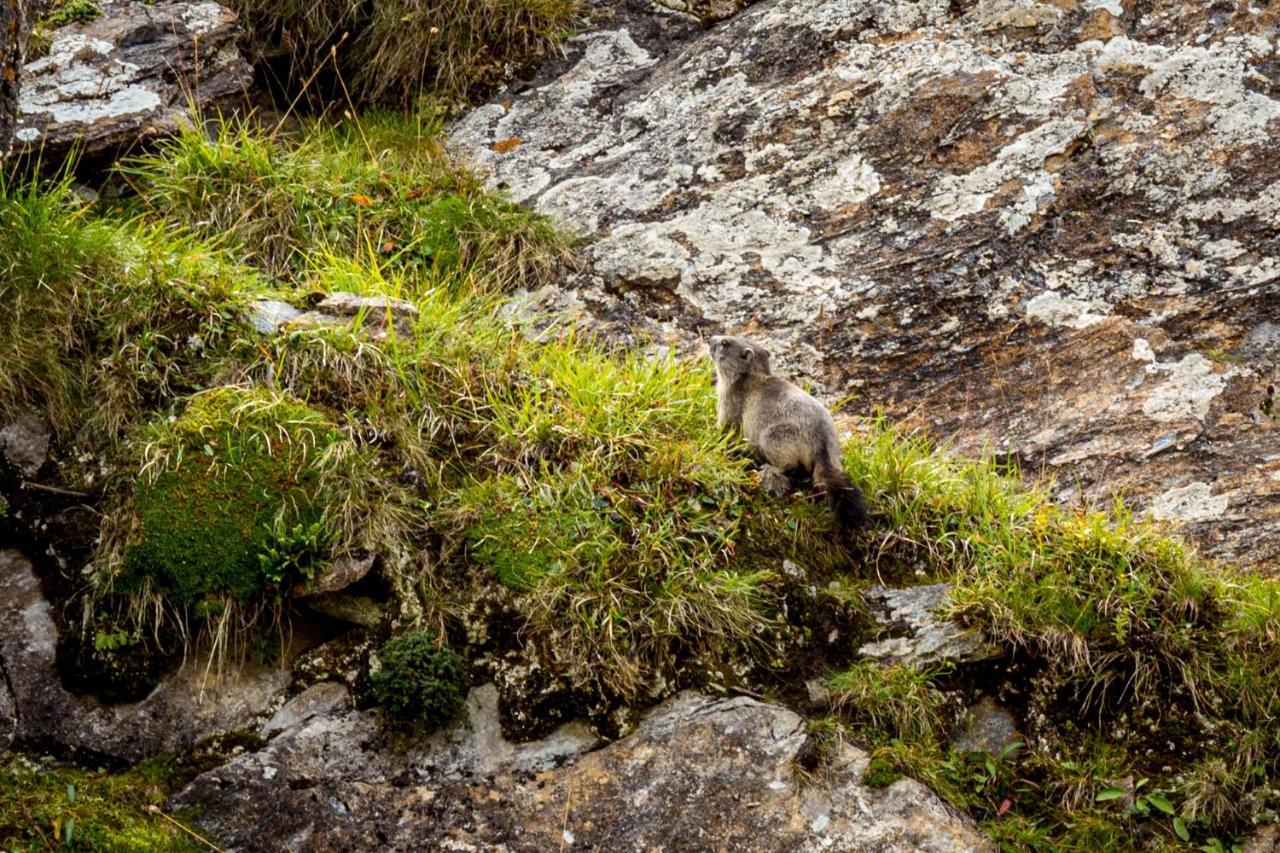 Un Moment De Detente Inoubliable Saillon-Les-Bain ภายนอก รูปภาพ